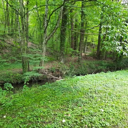 House In With Large Park Where The Ave Flows * روشفورت